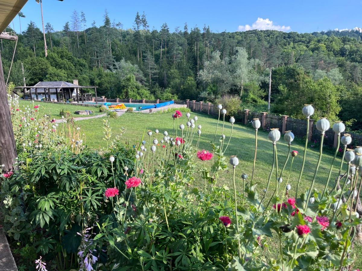 Agriturismo Hidden Paradise Villa Tryavna Bagian luar foto