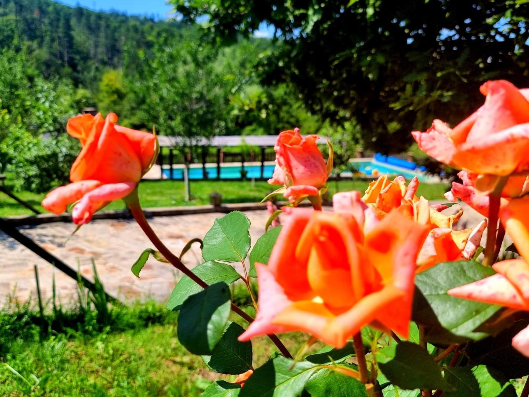 Agriturismo Hidden Paradise Villa Tryavna Bagian luar foto