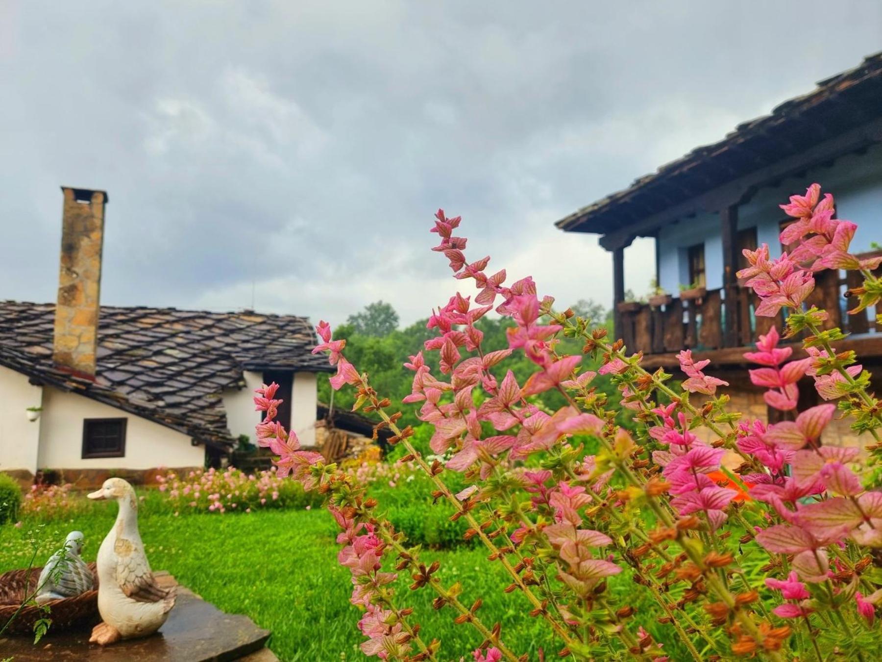Agriturismo Hidden Paradise Villa Tryavna Bagian luar foto