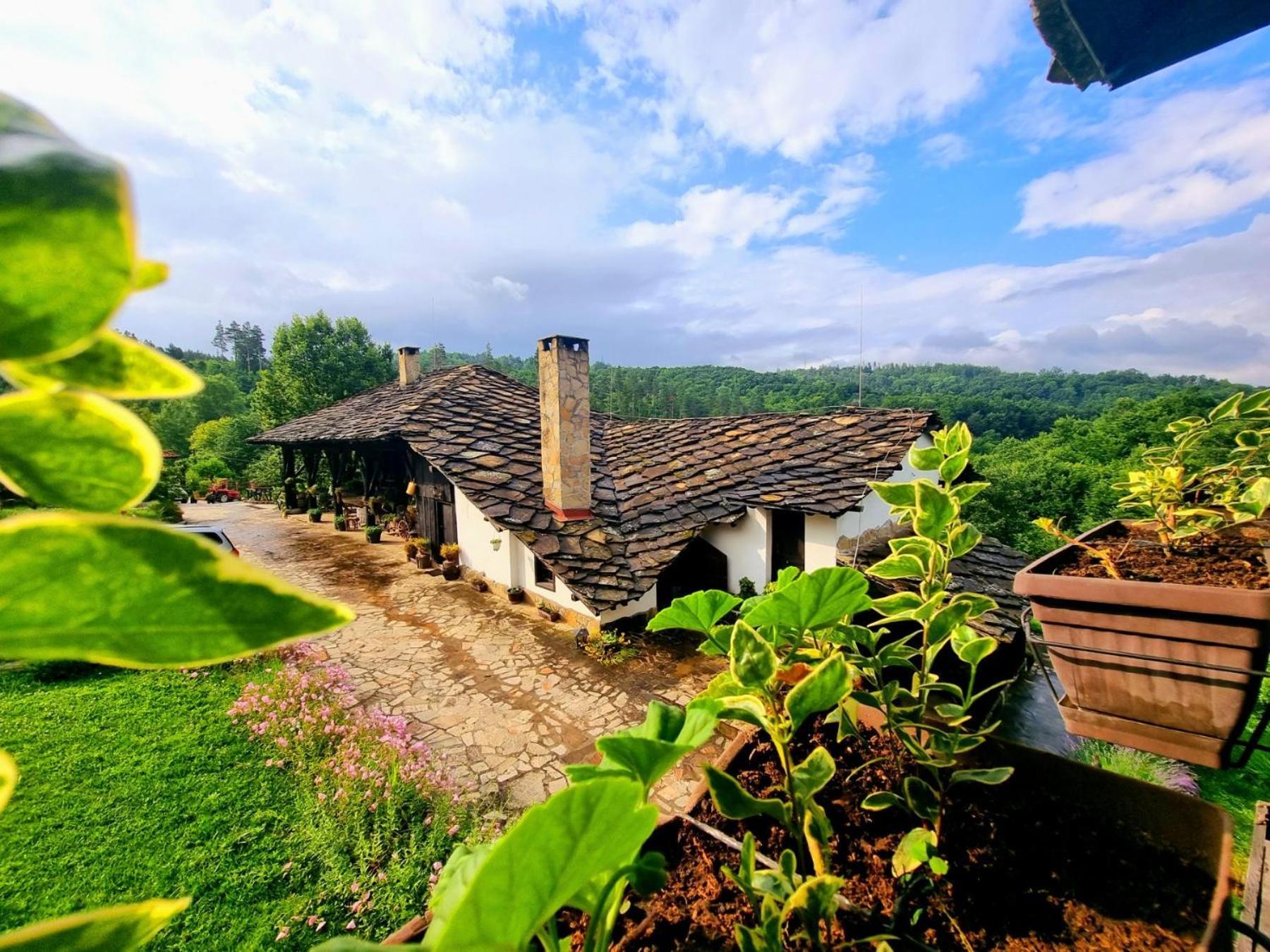 Agriturismo Hidden Paradise Villa Tryavna Bagian luar foto