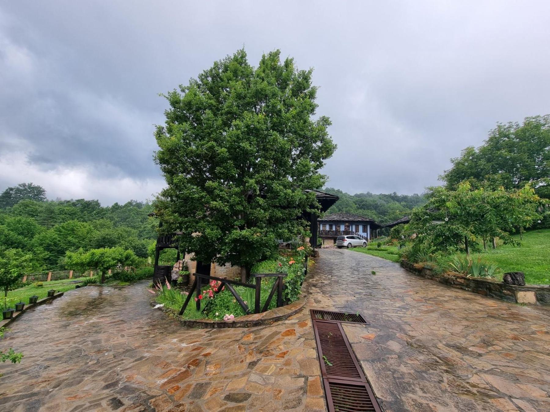 Agriturismo Hidden Paradise Villa Tryavna Bagian luar foto