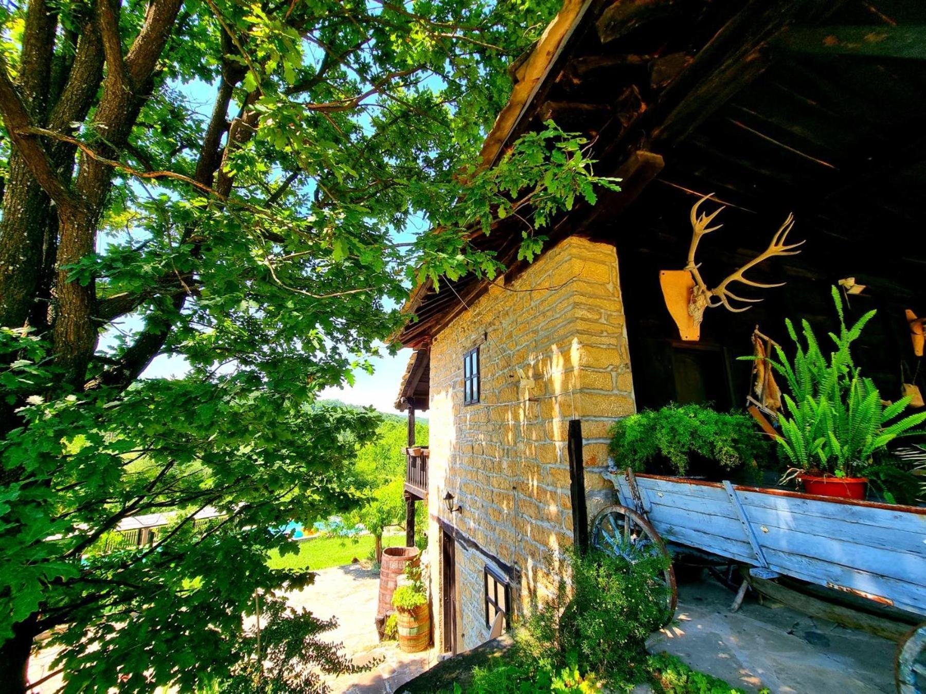 Agriturismo Hidden Paradise Villa Tryavna Bagian luar foto